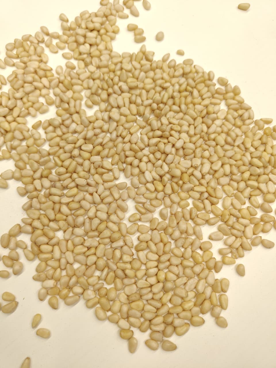 Organic pine nut kernels